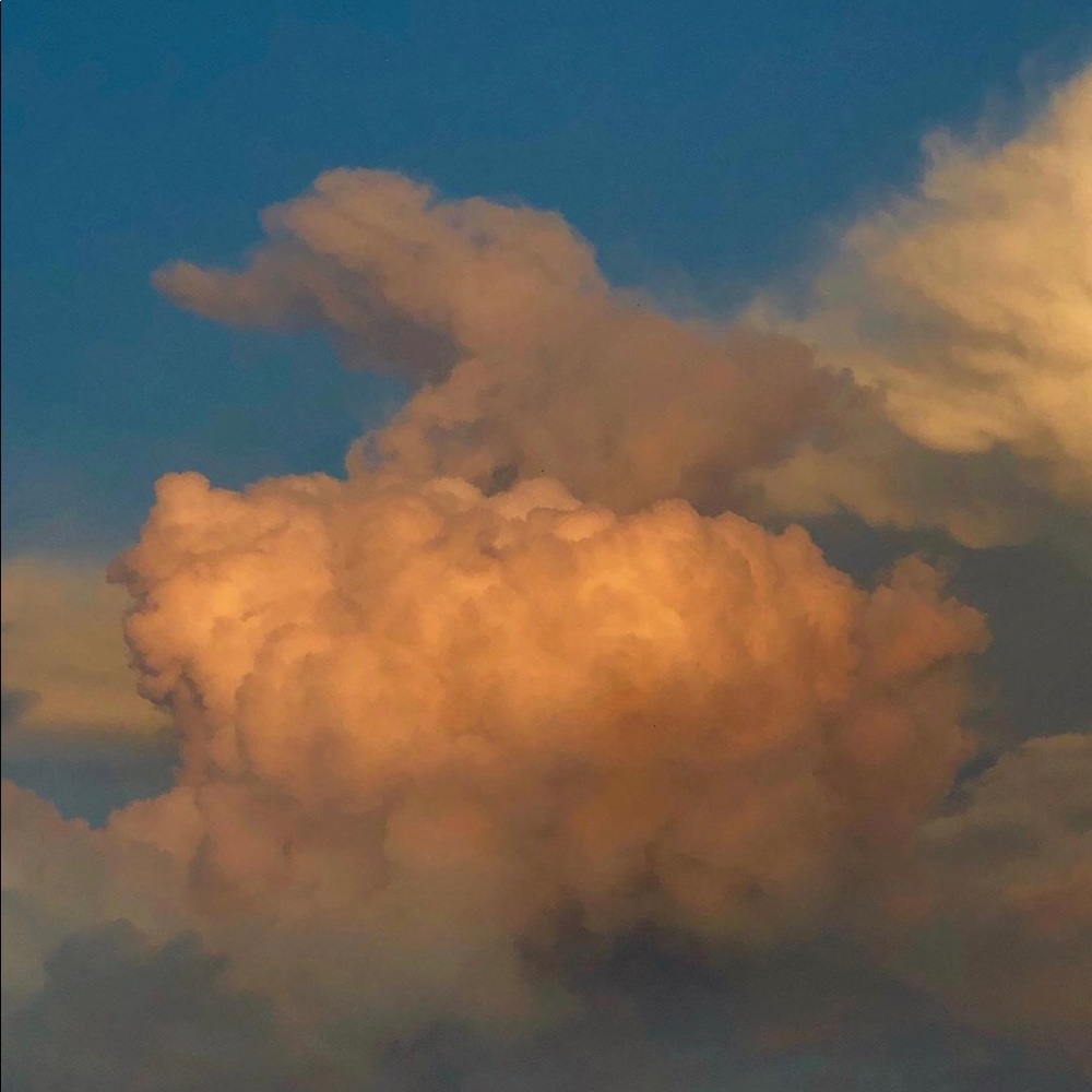 Meet your Posher, Mario